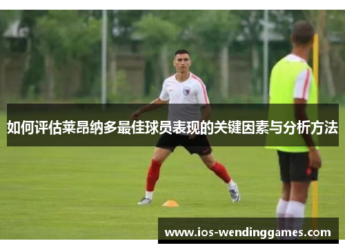 如何评估莱昂纳多最佳球员表现的关键因素与分析方法